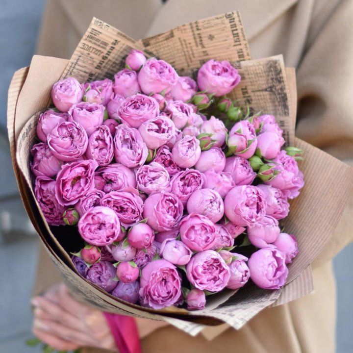 Роза Мисти Баблс в Твери