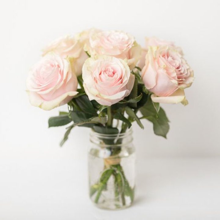 7 кремовых роз в Твери