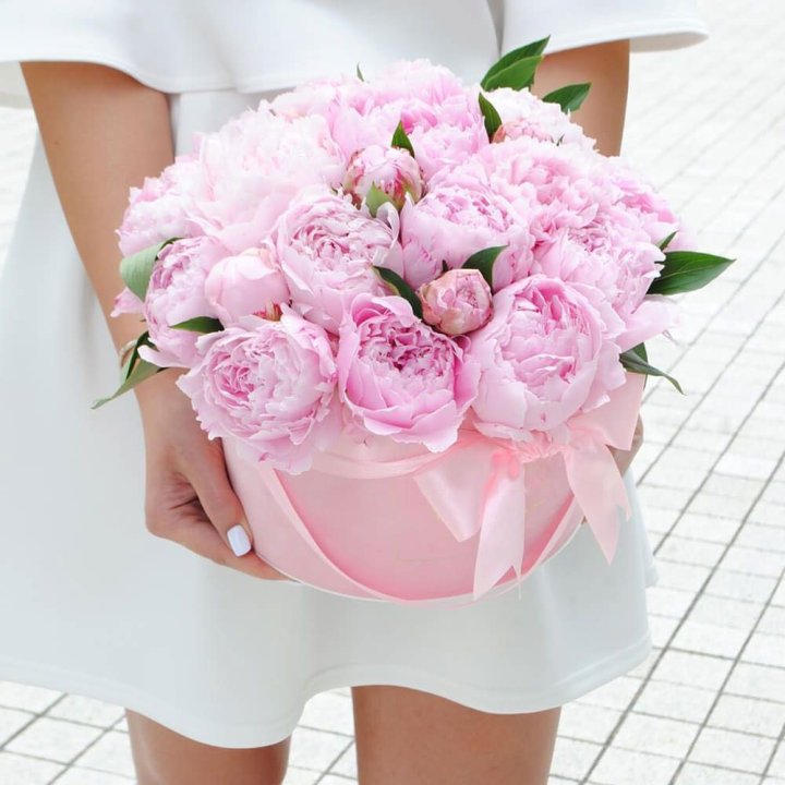 Пионы в шляпной коробке в Твери