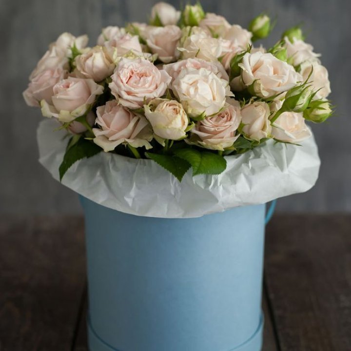 Бокс с бомбастиком в Твери