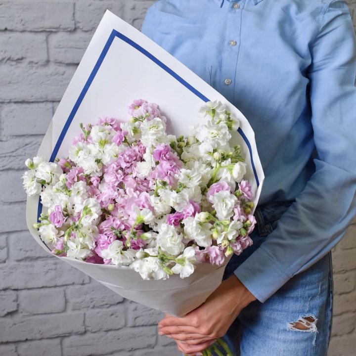 Маттиола в Твери