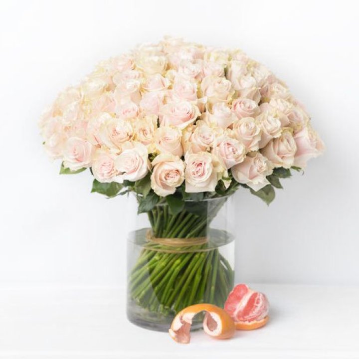 101 кремовая роза в Твери