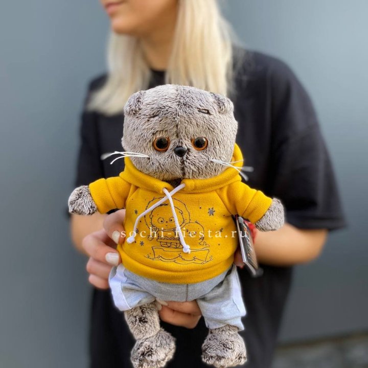Кот Басик в худи в Твери