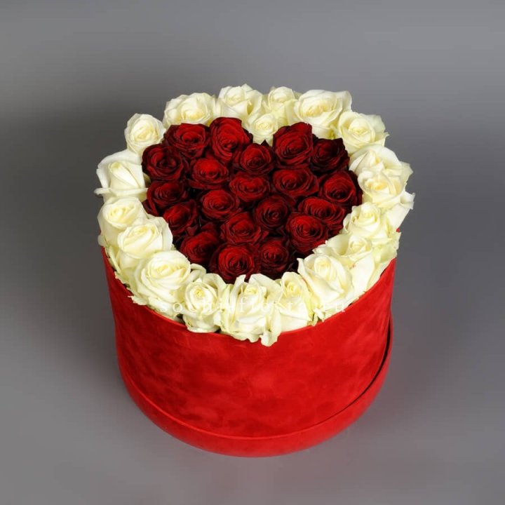 39 красных и белых роз в цилиндре в Твери