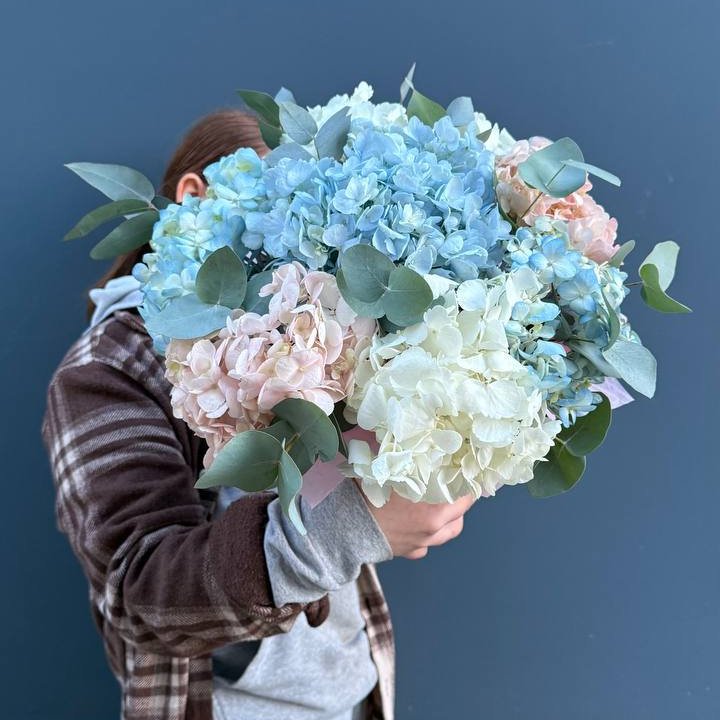 Гортензии в коробочке в Твери