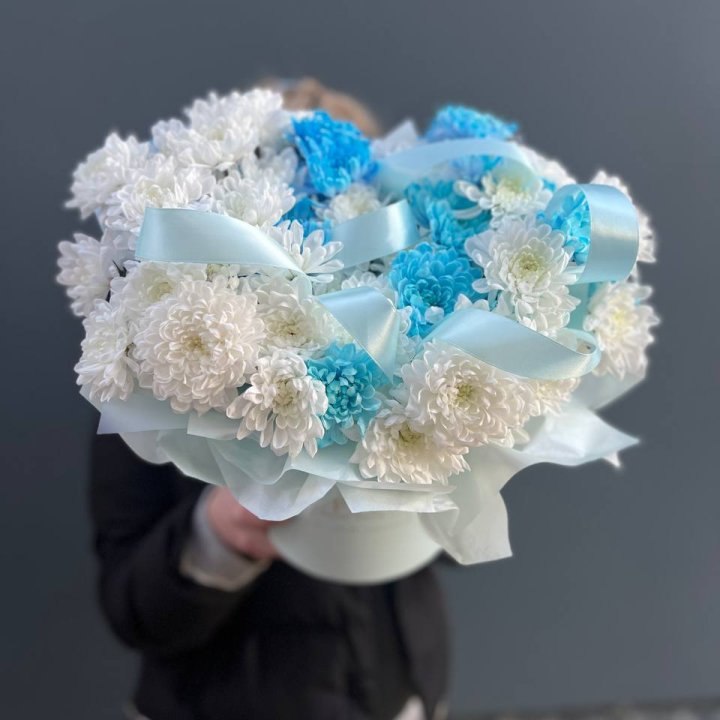 Хризнтемы в боксе в Твери