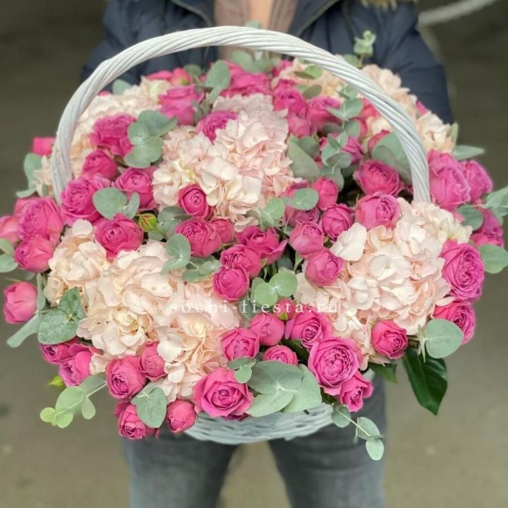 Корзина с гортензией и Мисти Баблс в Твери