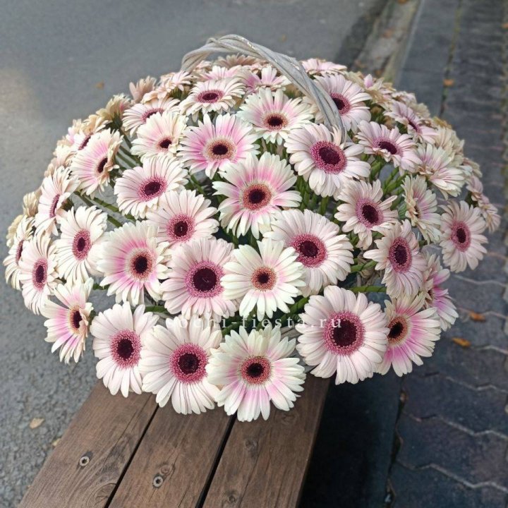 Корзина с герберами  в Твери