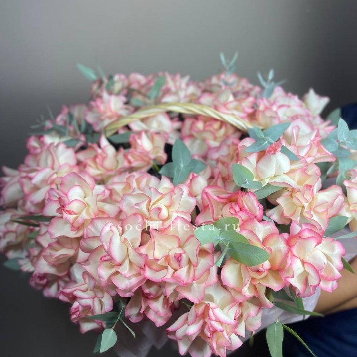 51 джумилия  в корзине   в Твери