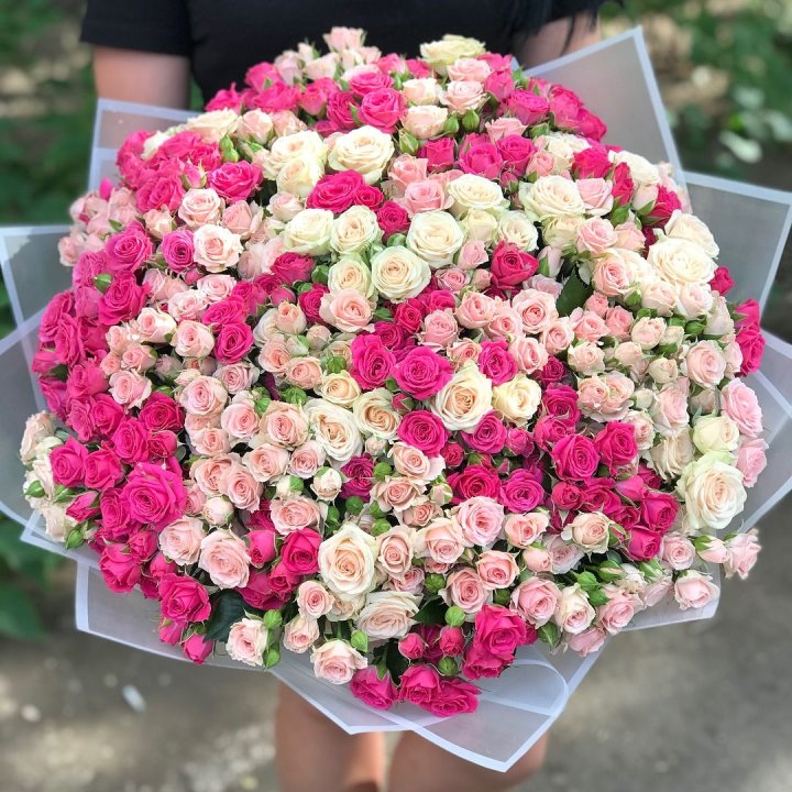 101 кустовая роза в Твери