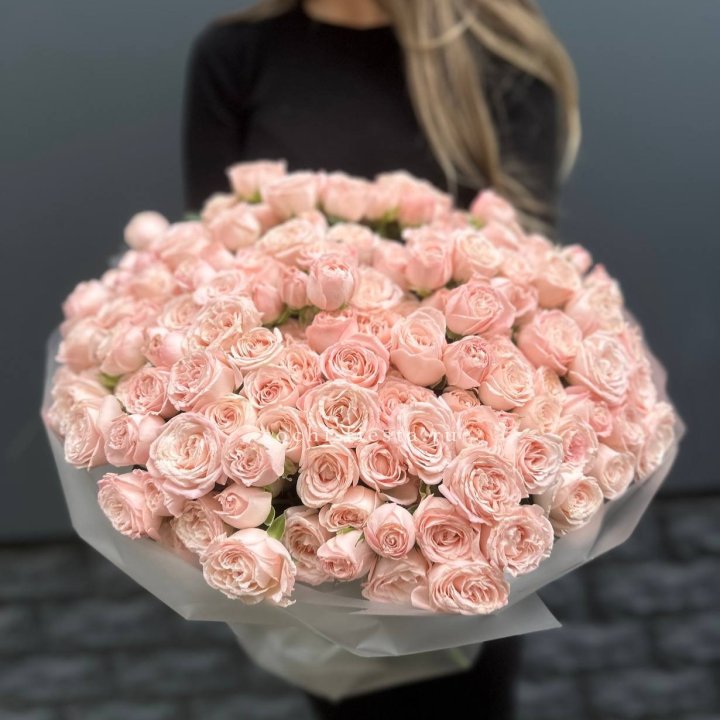 51 кустовая роза Бомбастик в Твери