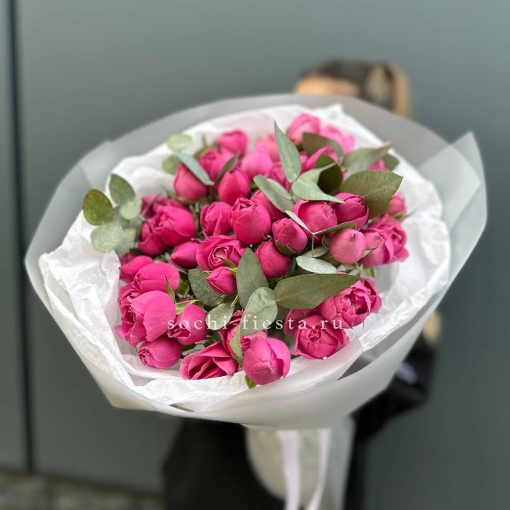 17 Мисти бабблс в Твери