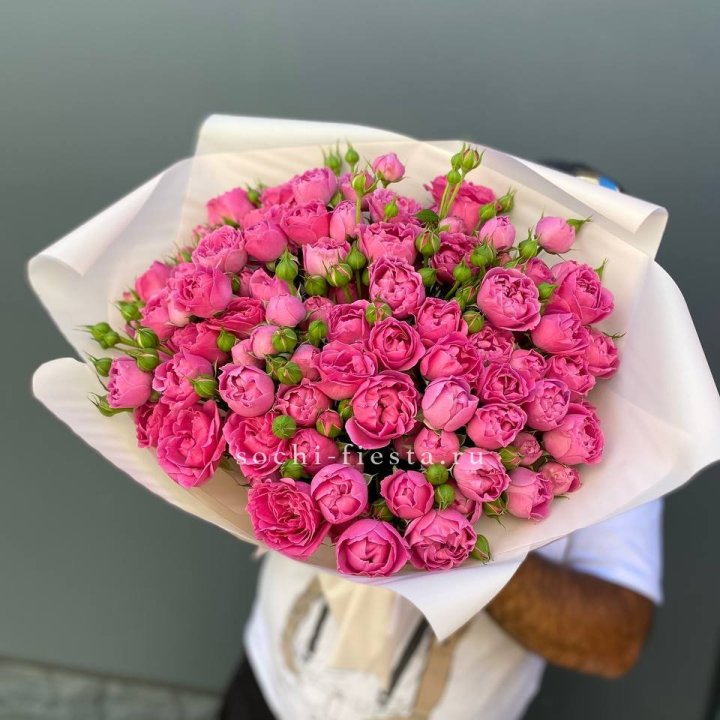 Мисти Баблс 35шт в Твери