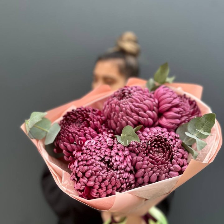 Хризантемы  Бигуди  в Твери