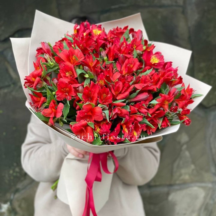 51 альстромерия в Твери