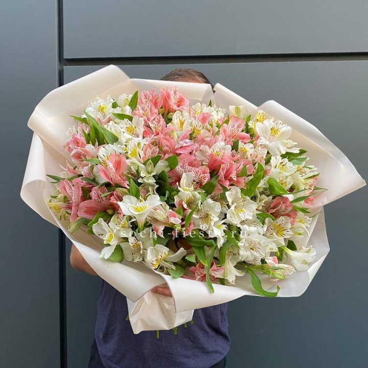 39 альстромерий в Твери