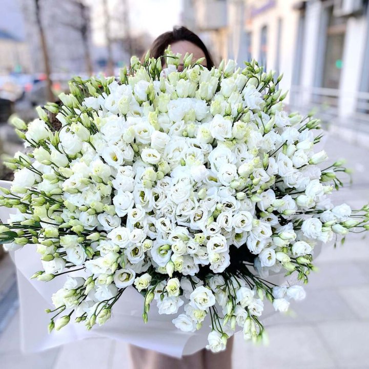 101 белая эустома в Твери