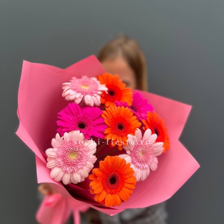 Краски в Твери