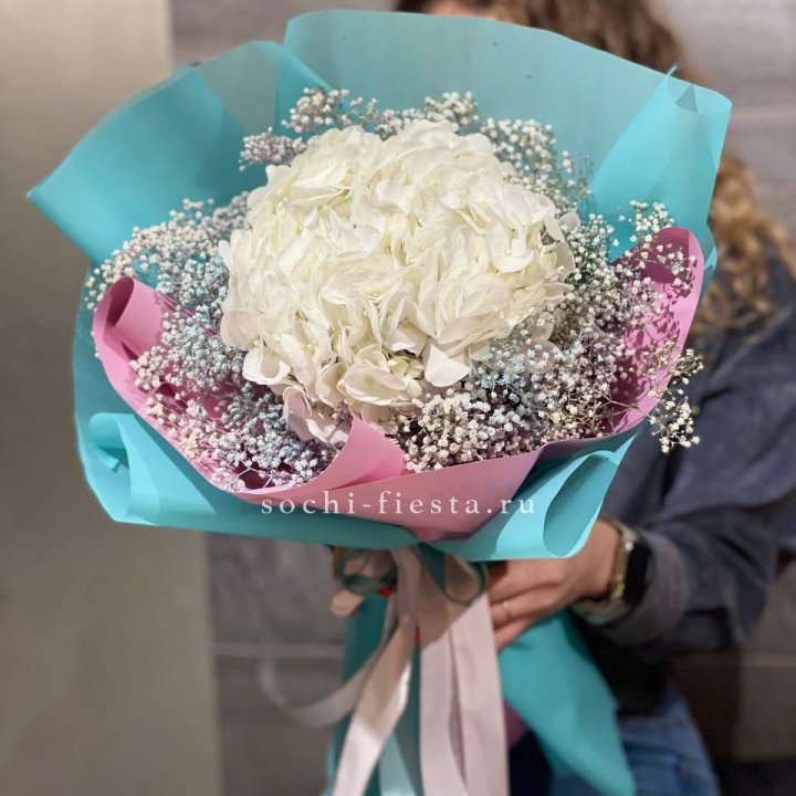 Гортензия "Райдов" в Твери