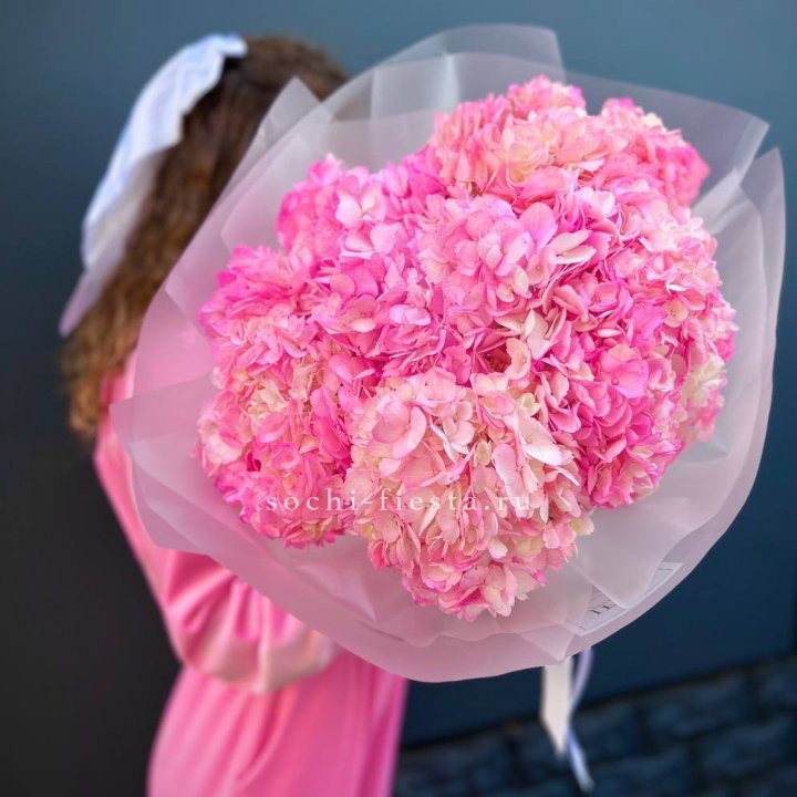 7 ярко розовых гортензий в Твери