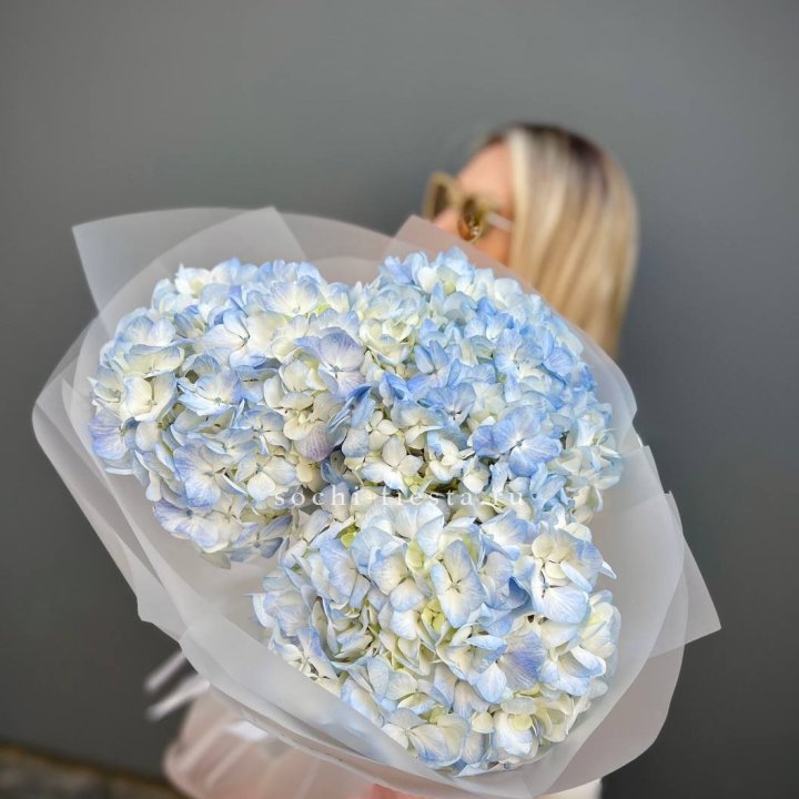 Букет из 3 голубых гортензий  в Твери