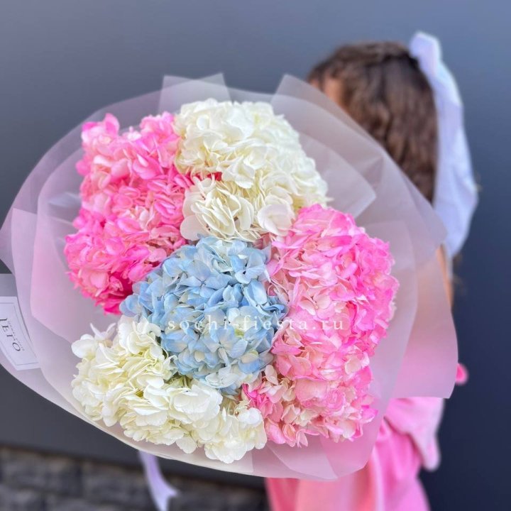 7 гортензий микс в Твери