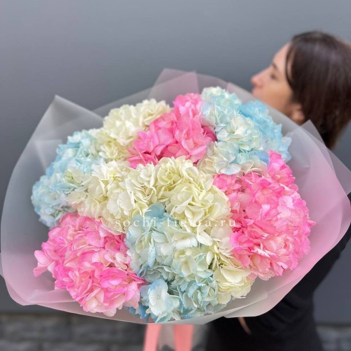 9 гортензий микс в Твери