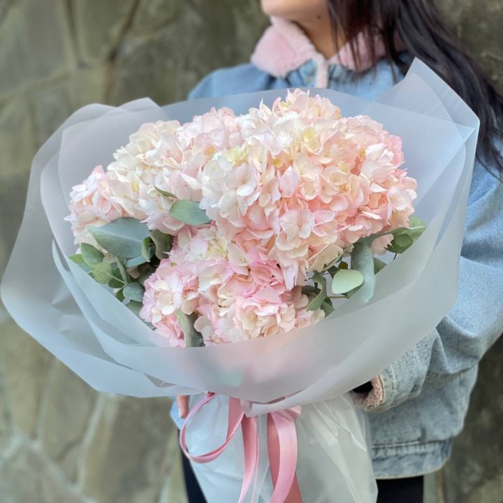 5 розовых гортензий в Твери