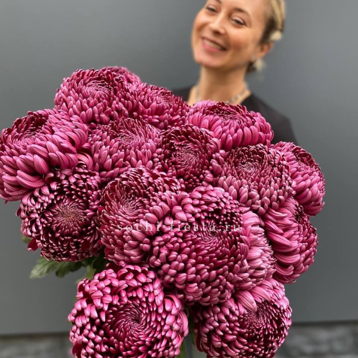 Охапка хризантем Бигуди в Твери