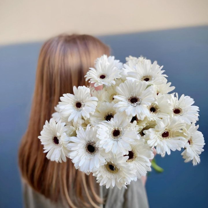 Охапка гербер в Твери