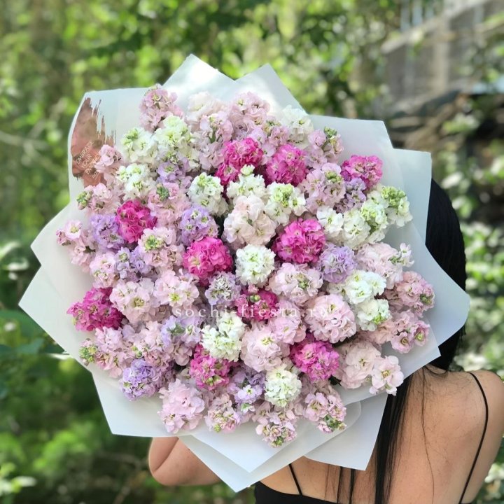 Букет ароматной маттиоллы №3 в Твери