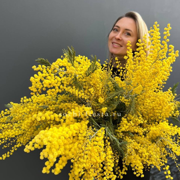 Охапка мимозы №2 в Твери