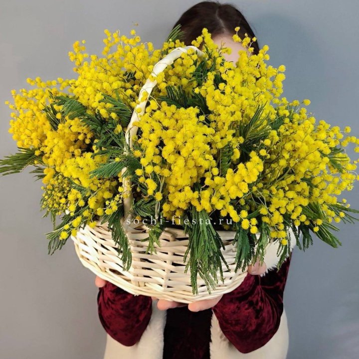Корзина ароматной мимозы в Твери