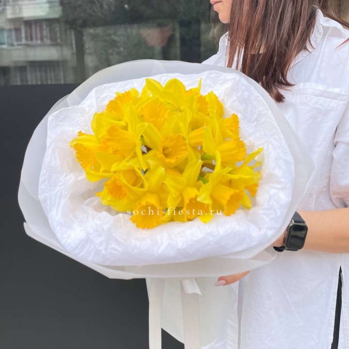 Нарциссы 25 шт в Твери