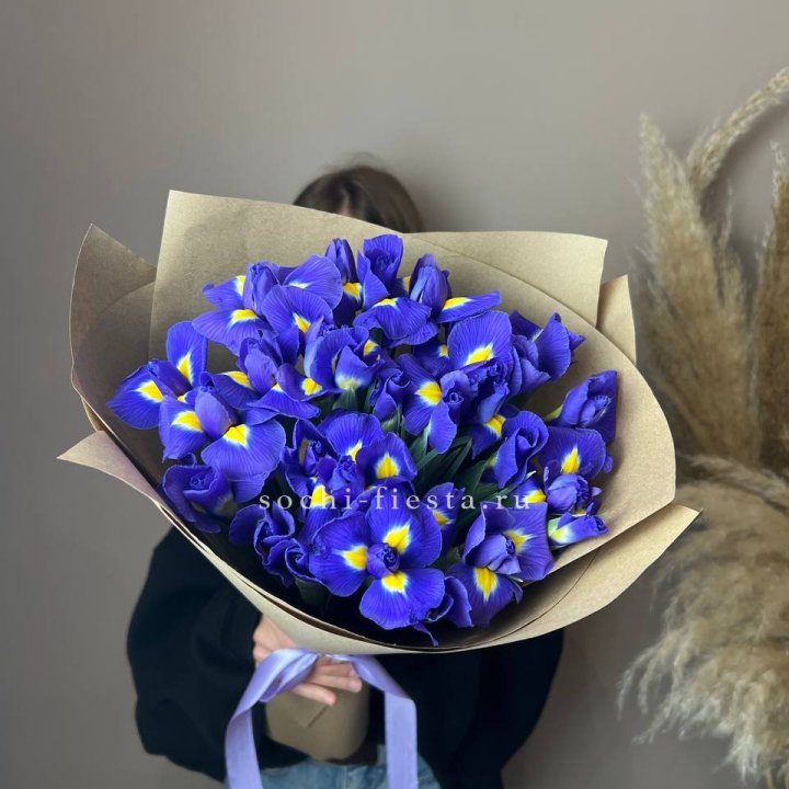 Ирисы в Твери