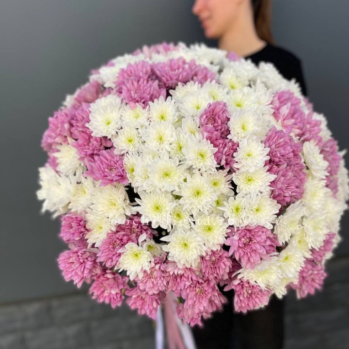  Букет 25 хризантем микс в Твери