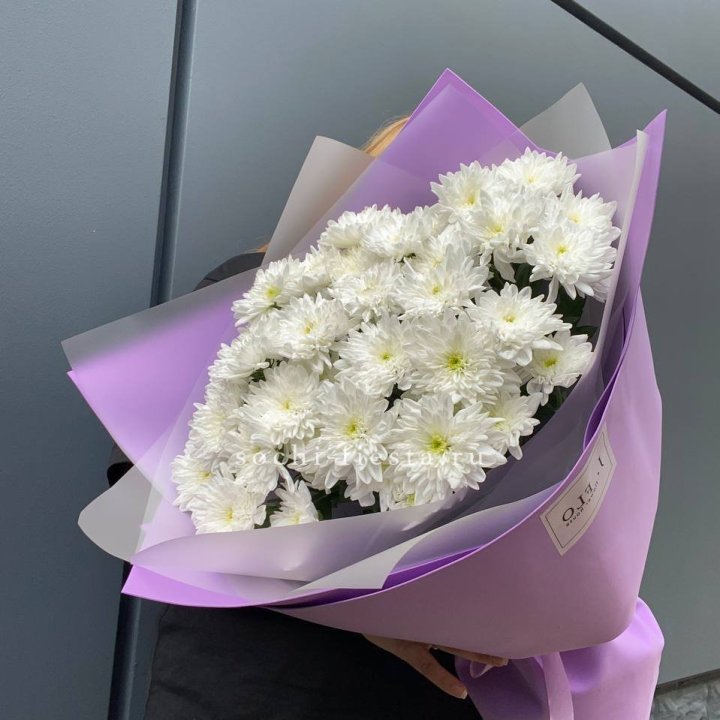  7 хризантем  в Твери