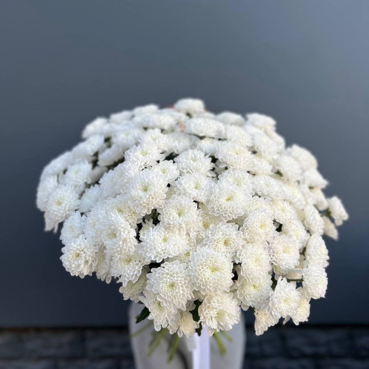  25 хризантем белых в Твери