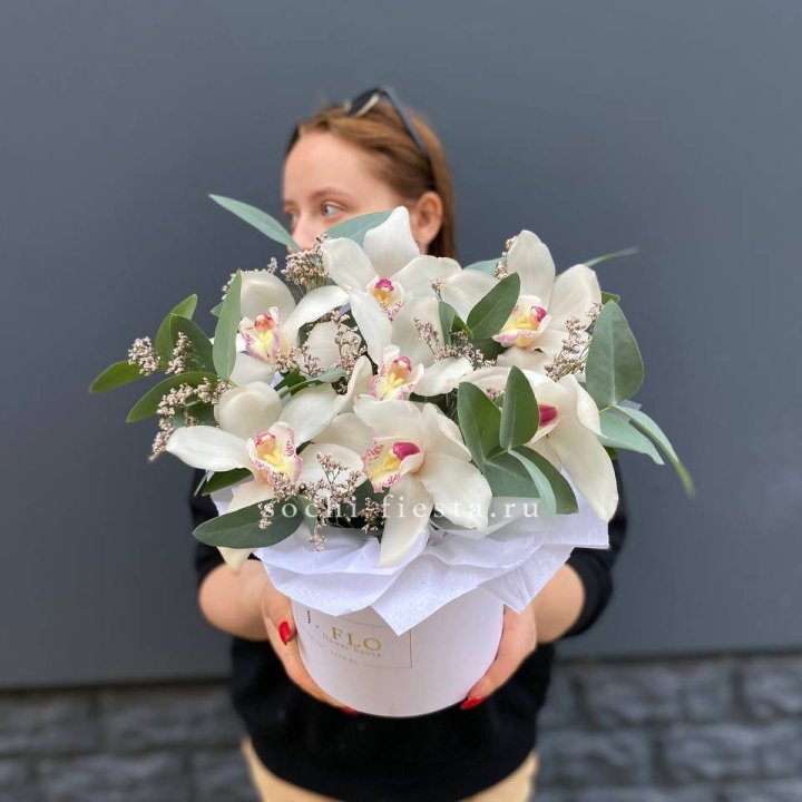 7 орхидей в боксе в Твери