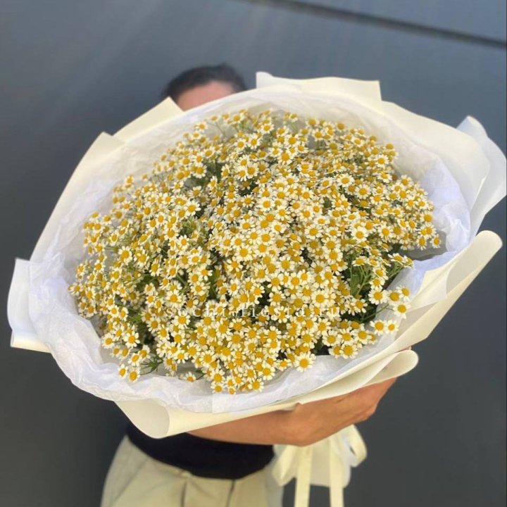 Букет ромашек №2 в Твери