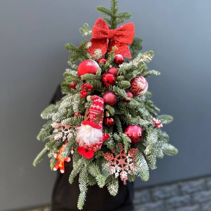 Новогодняя елочка "Ред" в Твери