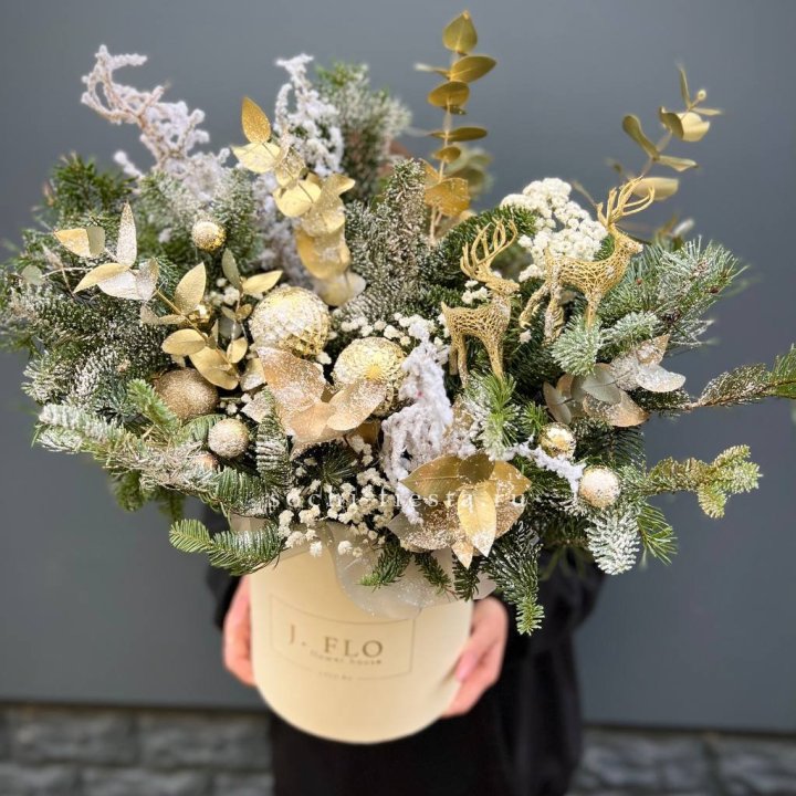 Золотой бокс с нобилисом в Твери