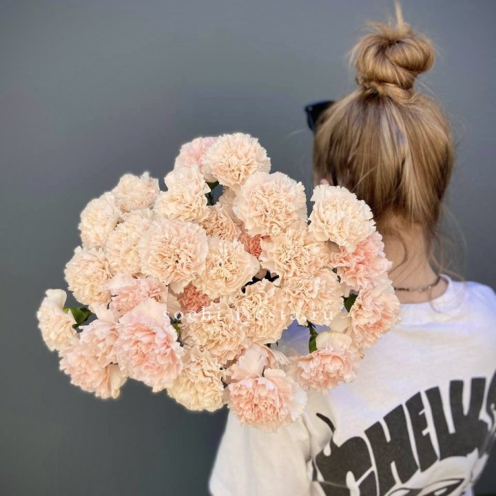 Охапка диантусов  в Твери