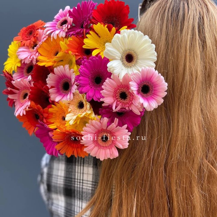 Охапка гербер  в Твери