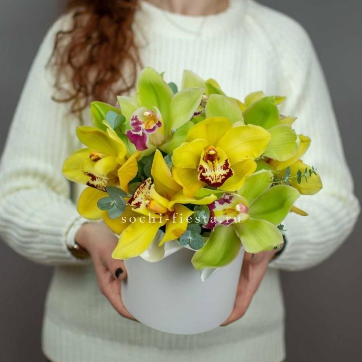 Бокс с орхидей №1 в Твери