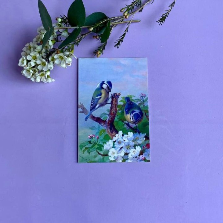 Открытка к букету "Птицы" в Твери