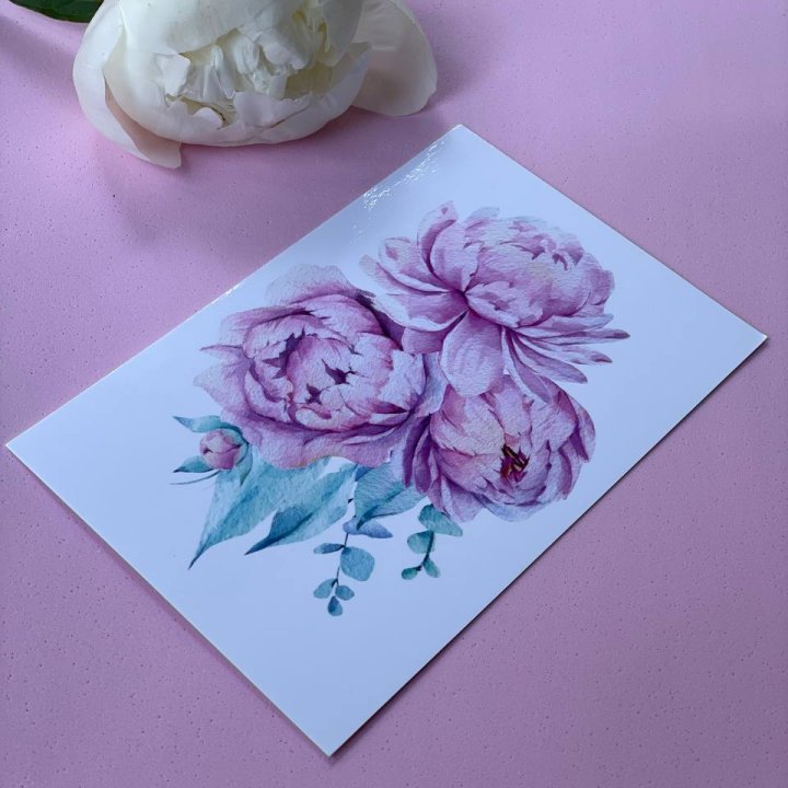 Открытка к букету "Пионы" в Твери