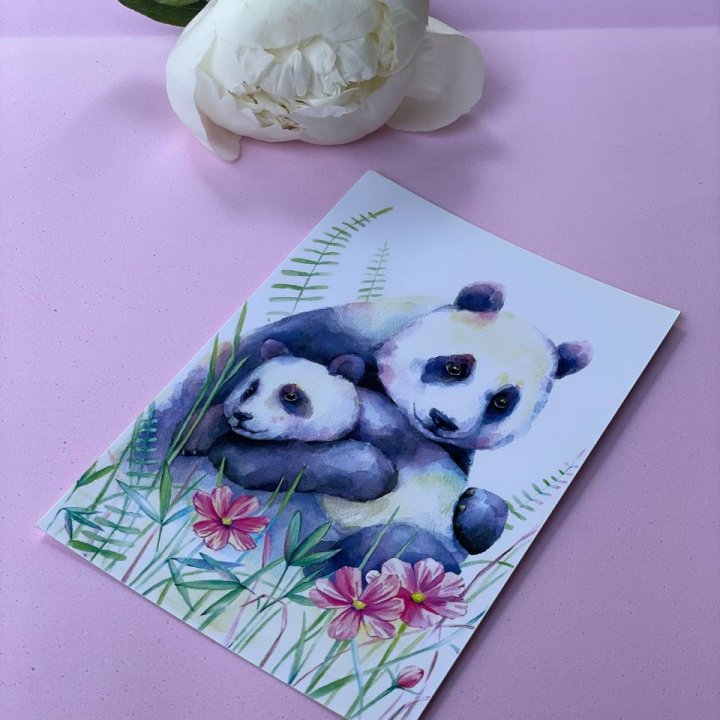 Открытка к букету "Объятие Панды" в Твери