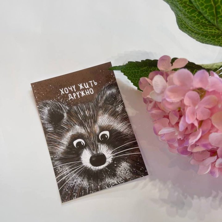 Открытка к букету "Енотик" в Твери