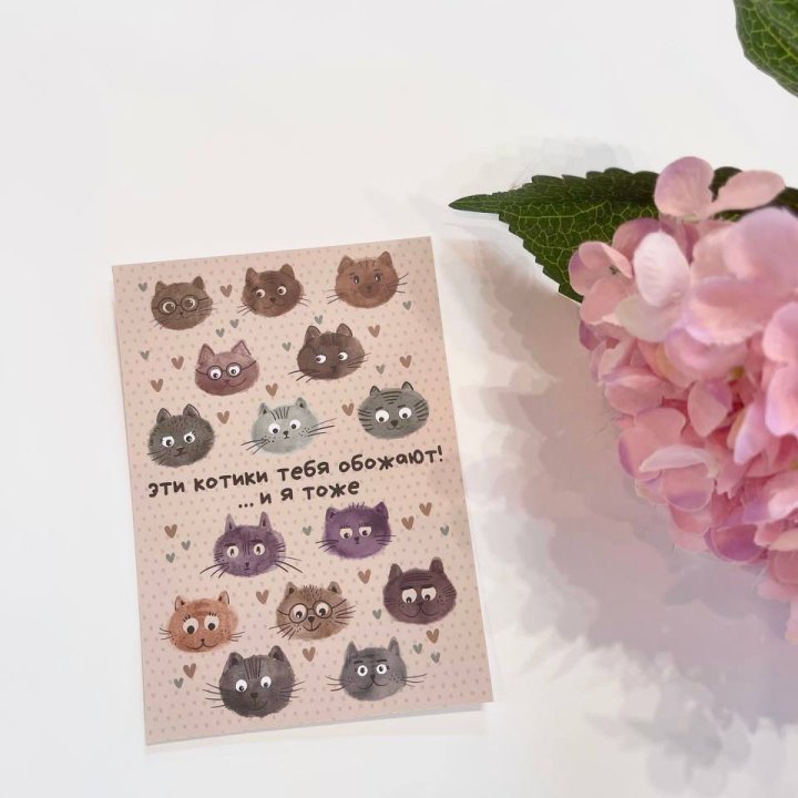 Открытка к букету "Котики" в Твери